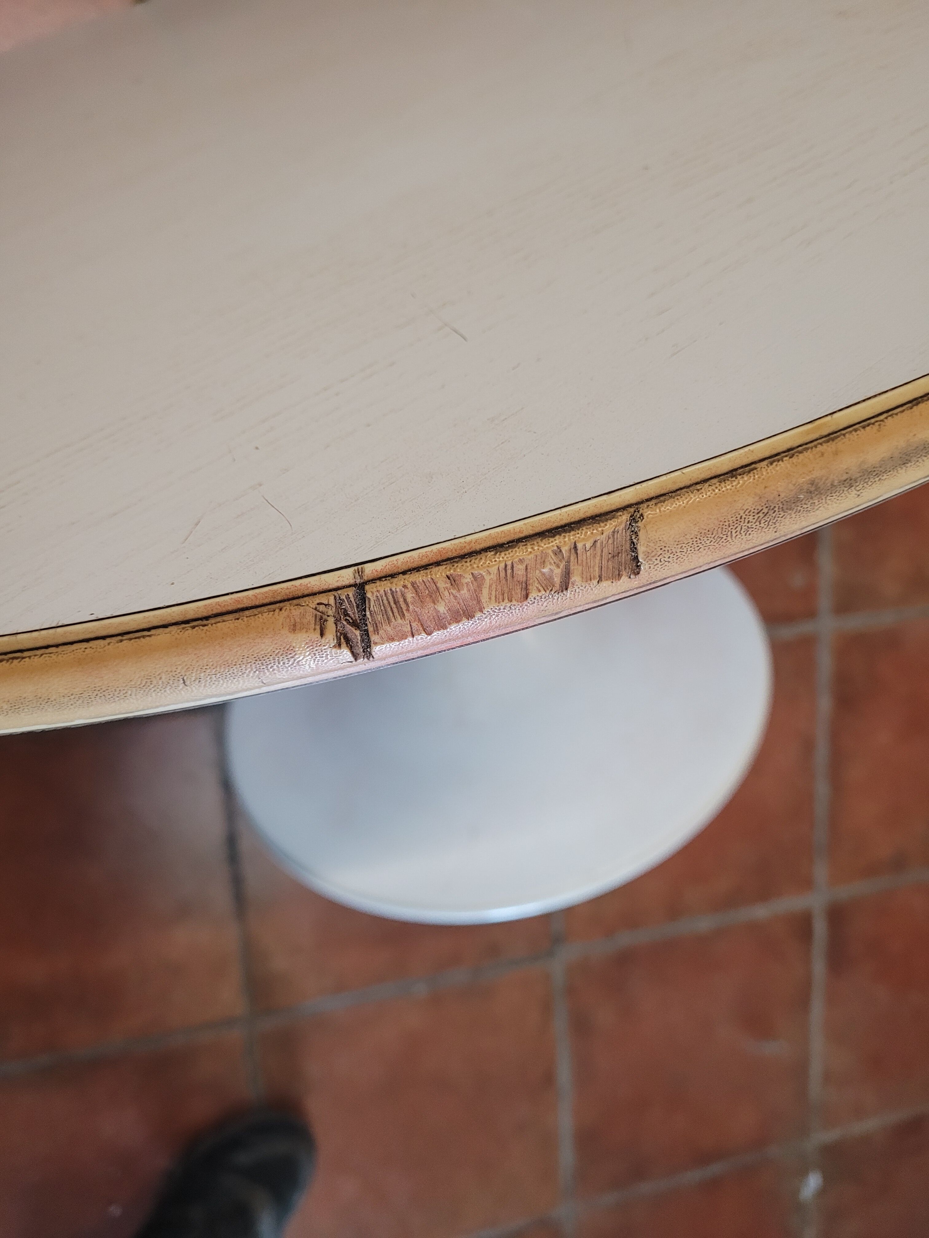 Tulip foot coffee table