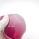 Murano Sommerso Opaline Red Bowl 16cm 882g