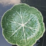 Cabbage leaf slurry plate