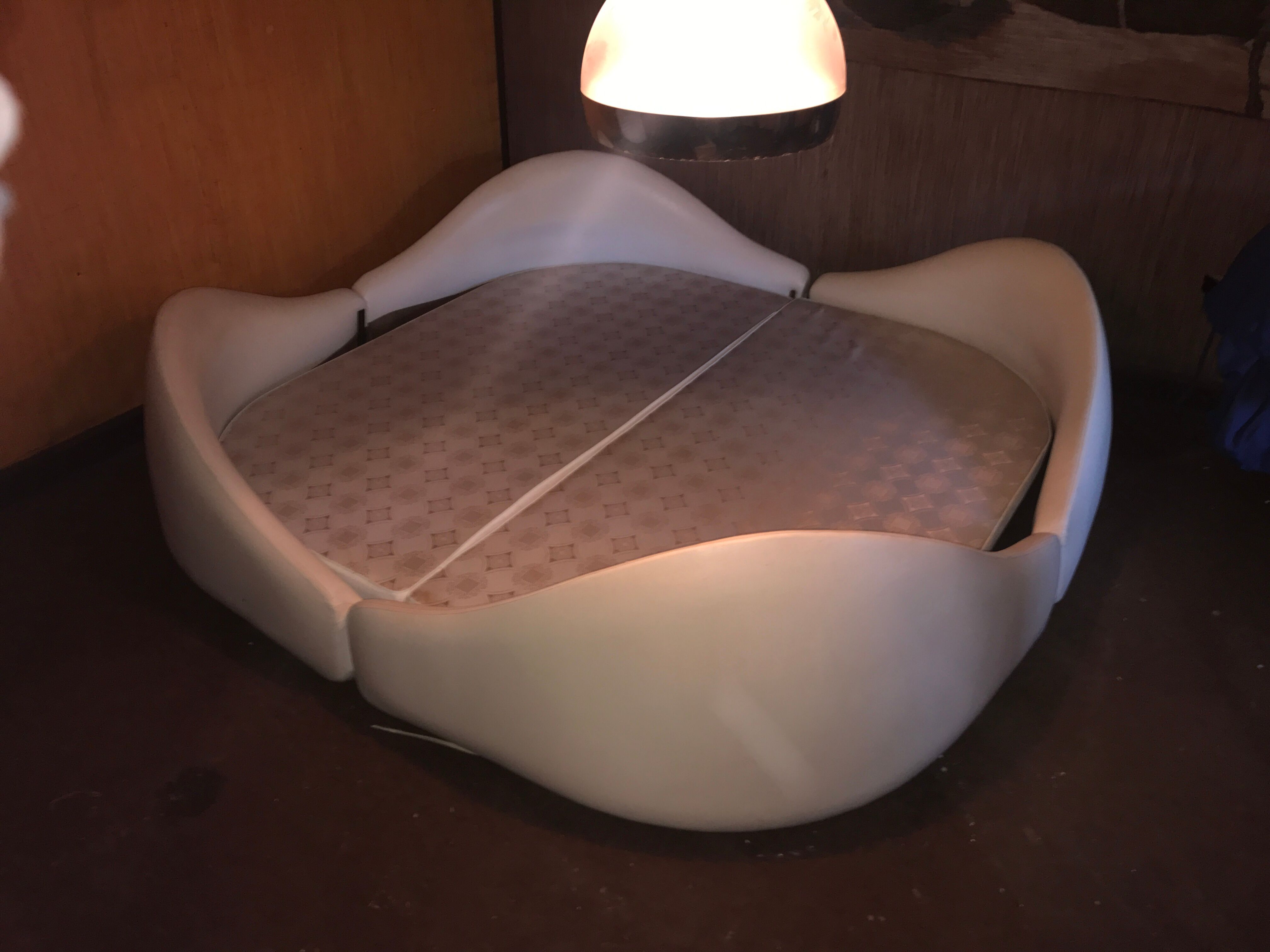 Anemone bed by Bernard Gauvin 1972