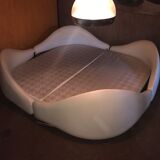 Anemone bed by Bernard Gauvin 1972