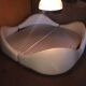 Anemone bed by Bernard Gauvin 1972