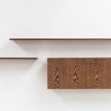 Banz Bord wall unit in wengé, the Netherlands, 1970’s