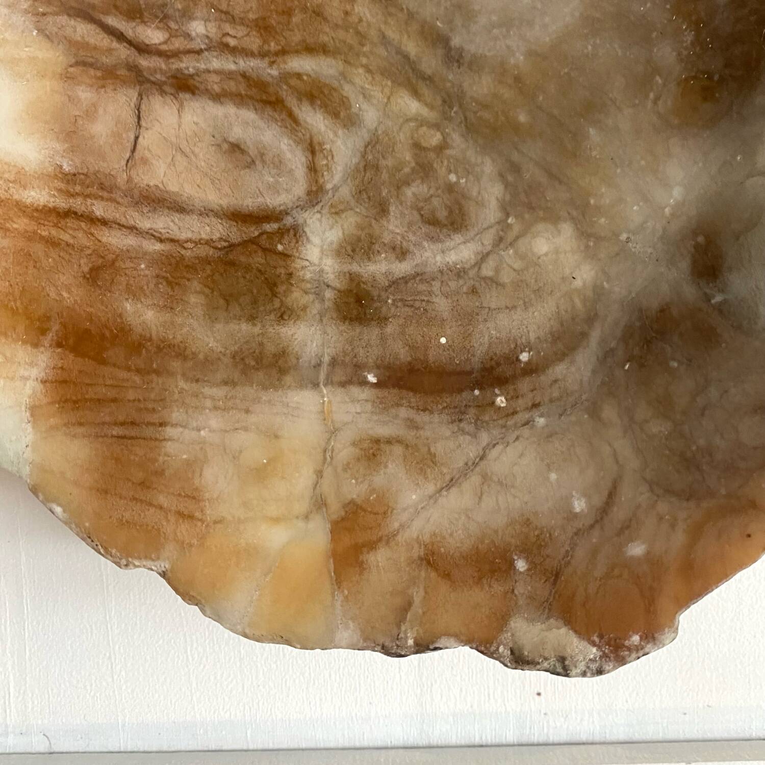 Cup, centerpiece in alabaster, Italy