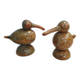 Birds in gourds