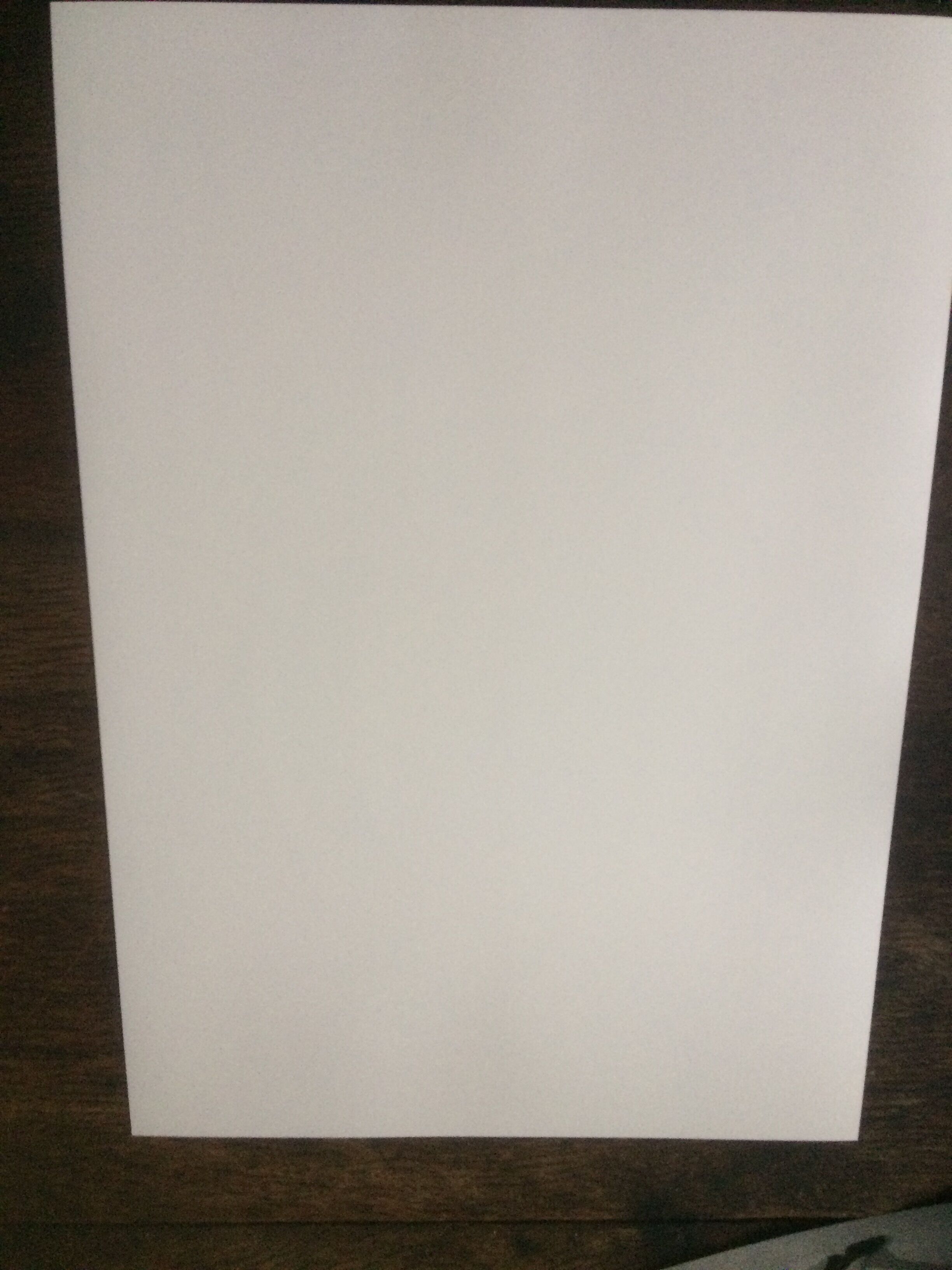 Stunning Chanel Illustration by Karl Lagerfeld