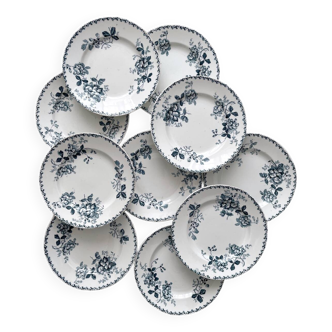 10 flat plates in iron earth “Acacia” Moulin des Loups and Hamage