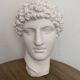 Greek head in polished white plaster