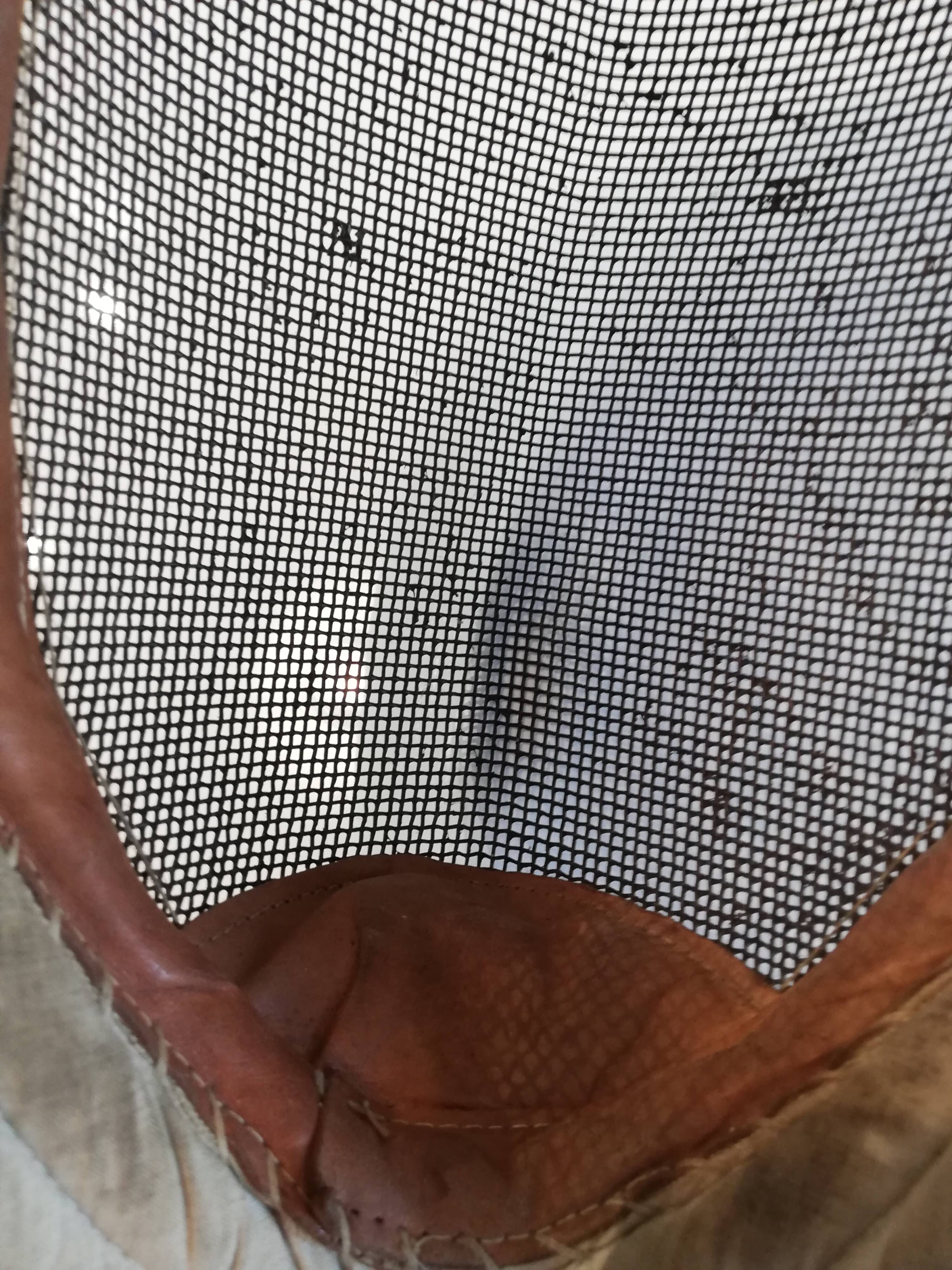 Fencing mask early 20th century