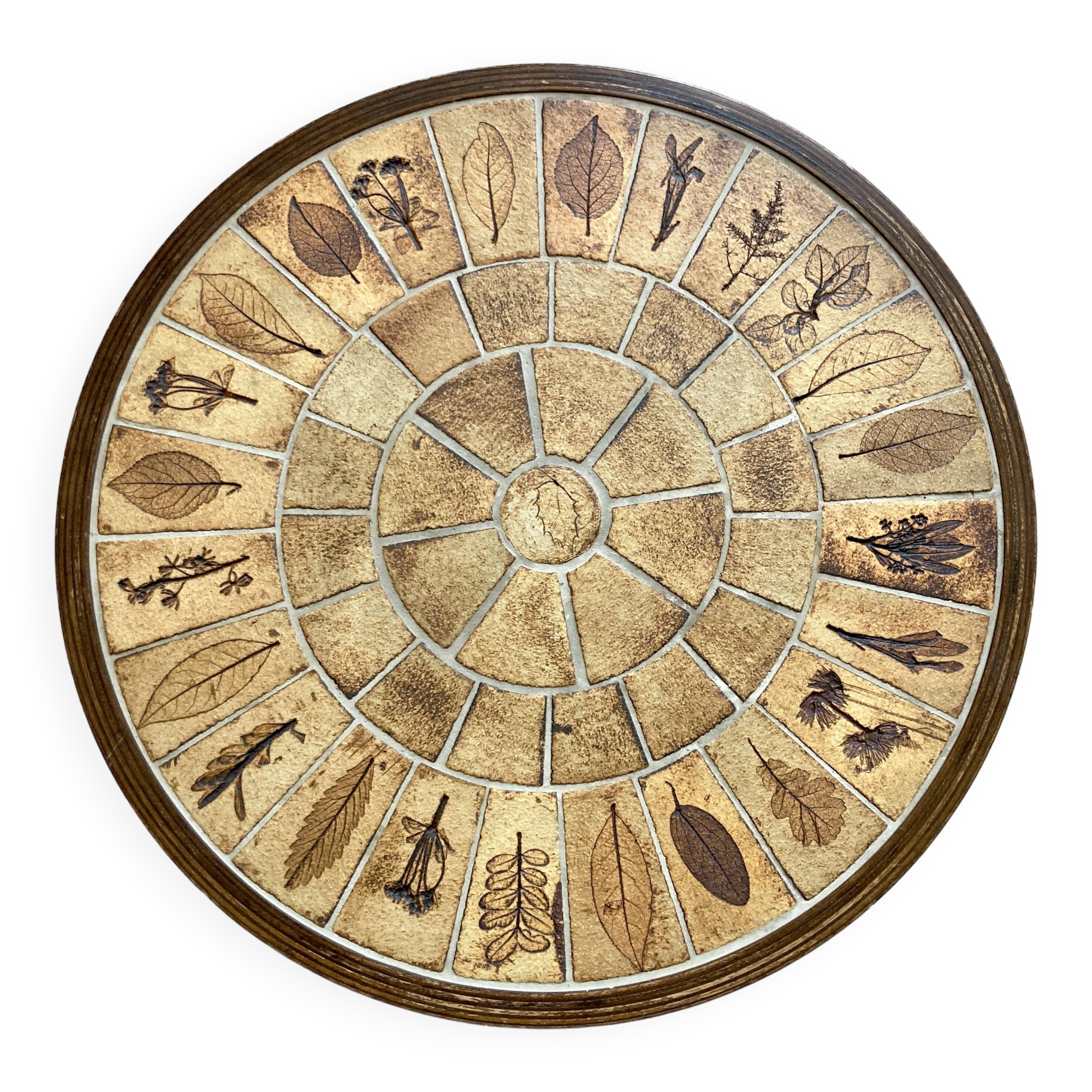 Round herbarium coffee table - Roger Capron