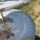Winterling porcelain cake stand