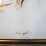 Hazel framed botanical poster