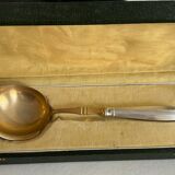 Ladle with punches