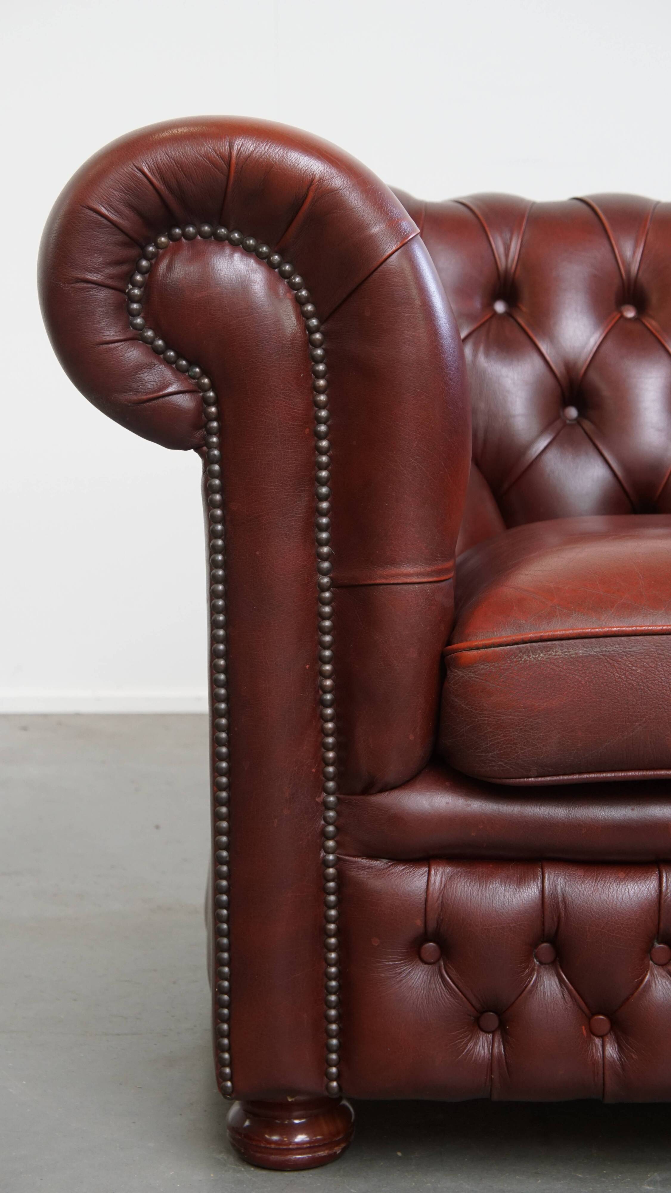 English Cowhide Leather Chesterfield Armchair
