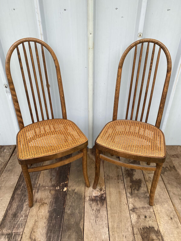 Paire chaise ancienne Baumann modèle eden bois + assise cannée vintage