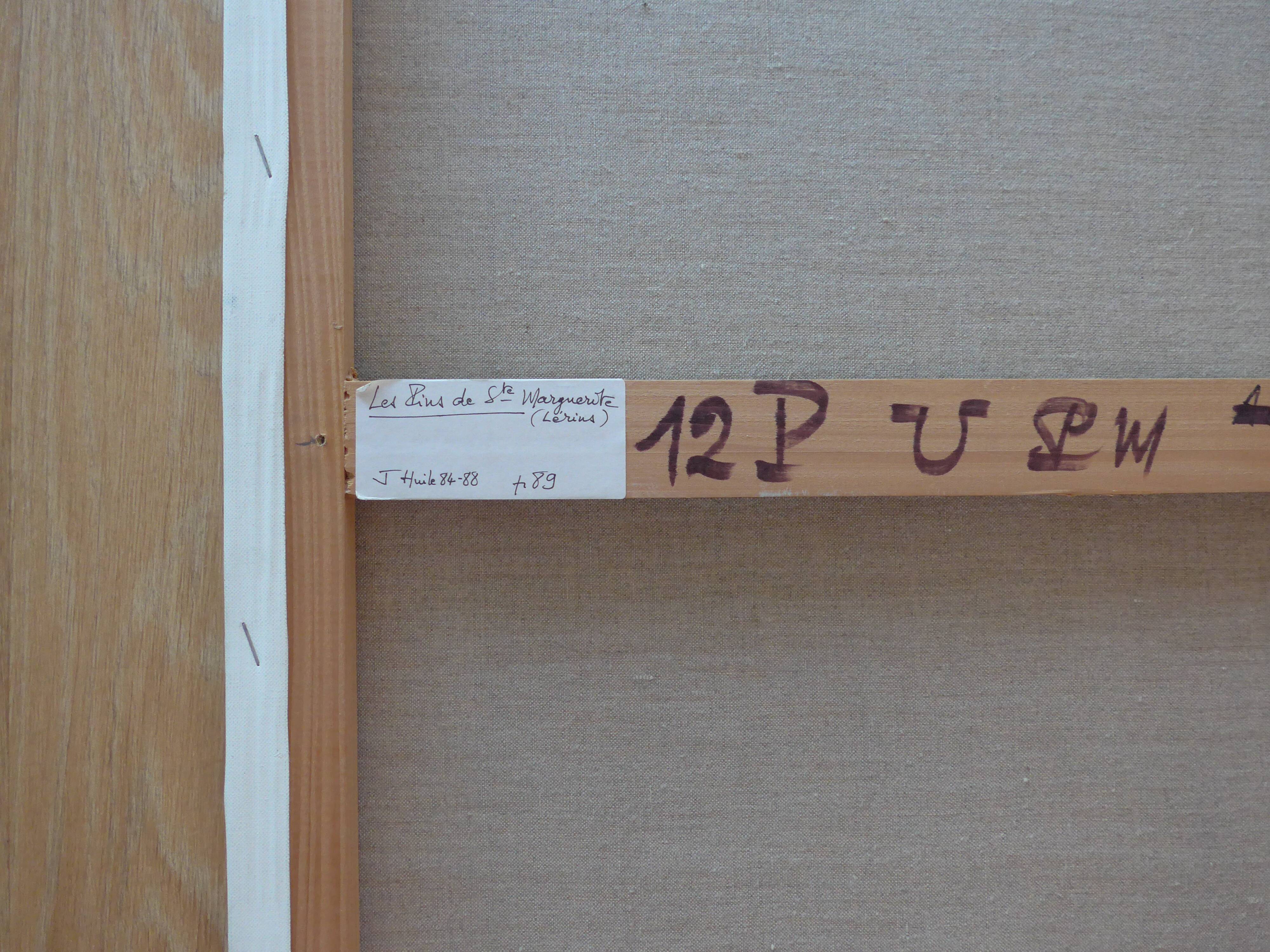 Canvas depicting the pines of St. Marguerite