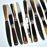 Set of 12 vintage table knives with horn handles and stainless steel blades RENEKA 24.5 cm