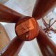 Vintage parrot coat rack ZPM RADOMSKO