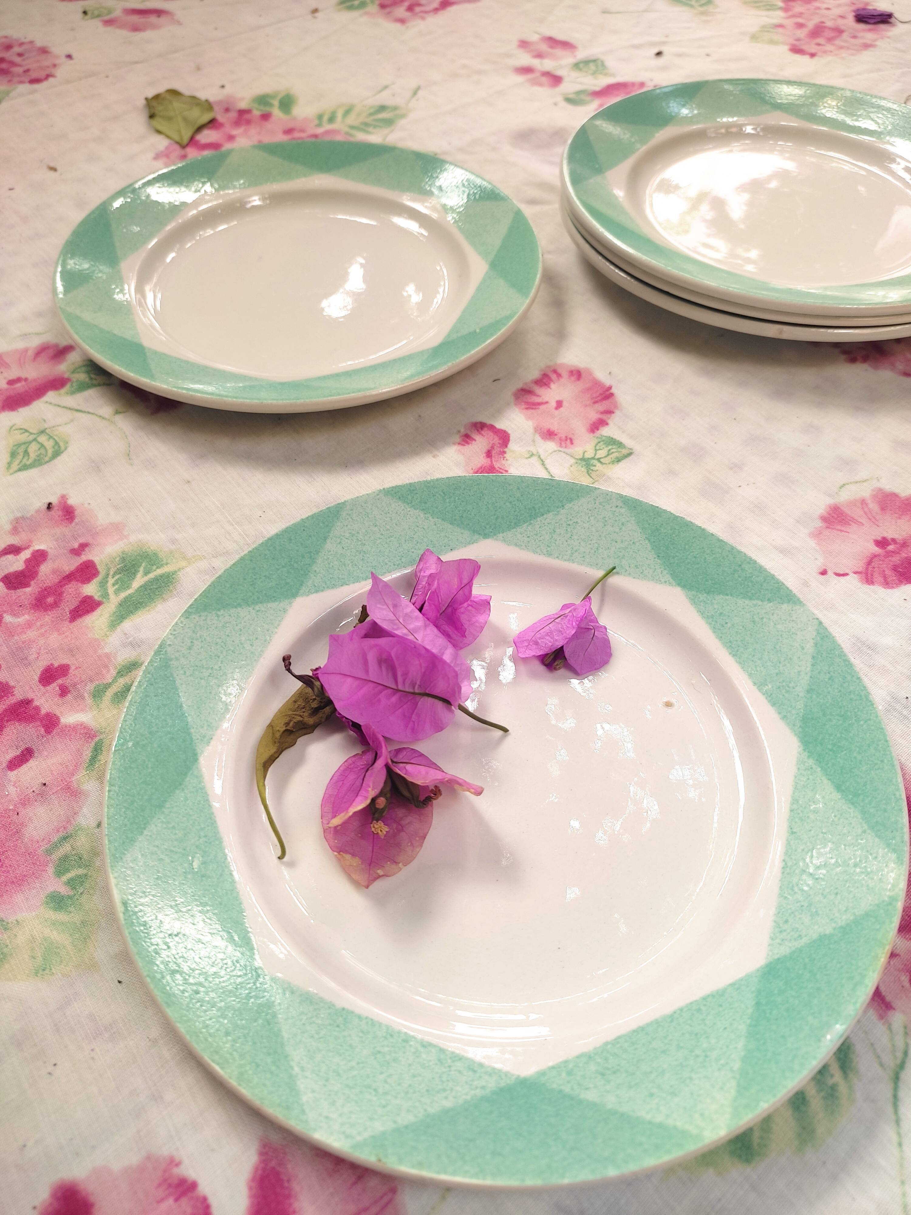 5 retro plates in Badonviller earthenware