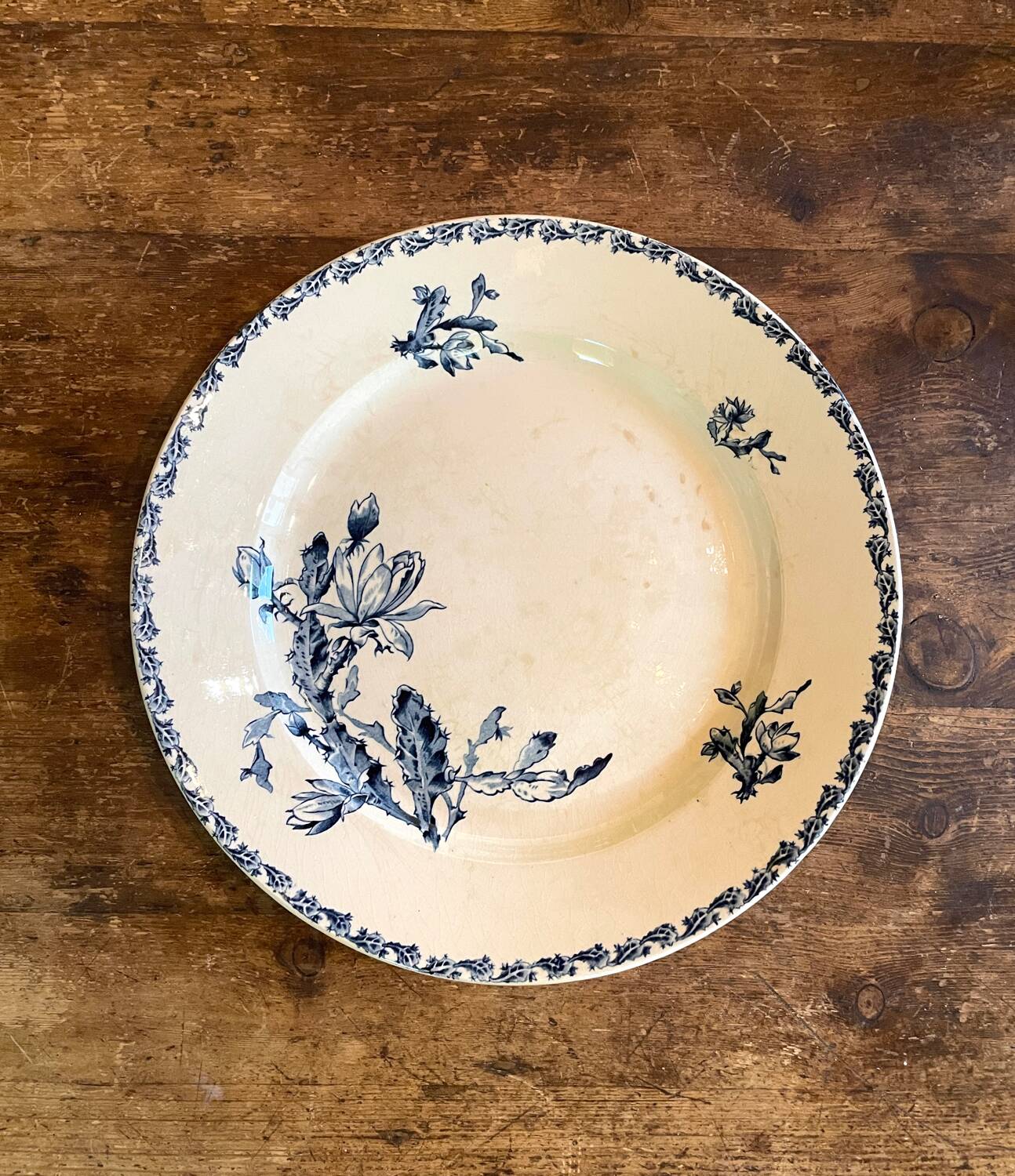 Large Terre de Fer “Cactus” Gien dish