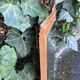 Scandinavian teak mirror 60s