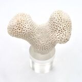 Coral bench on resin base, 1970s