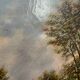 Painting HST "Landscape with Sheep" signed by Lucien Michon (born in 1887)