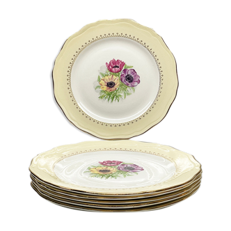 Lot de 6 assiettes plates «l'amandinoise » modèle  coopelia