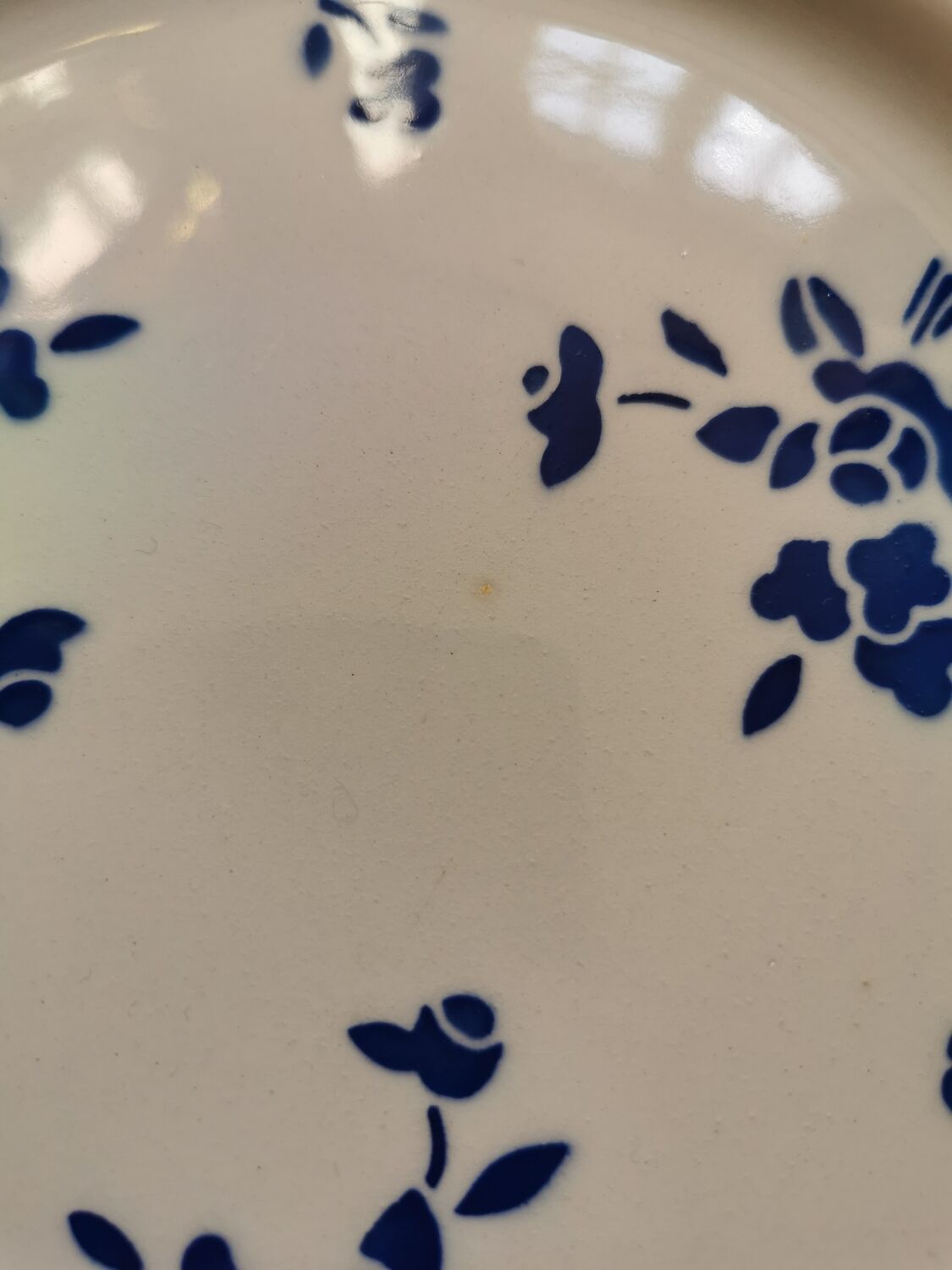 Blue Badonviller retro plates