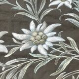 Tableau peinture ancienne fleurs Stauffacher cabinet de curiosité