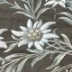 Painting old flowers Stauffacher cabinet of curiosity