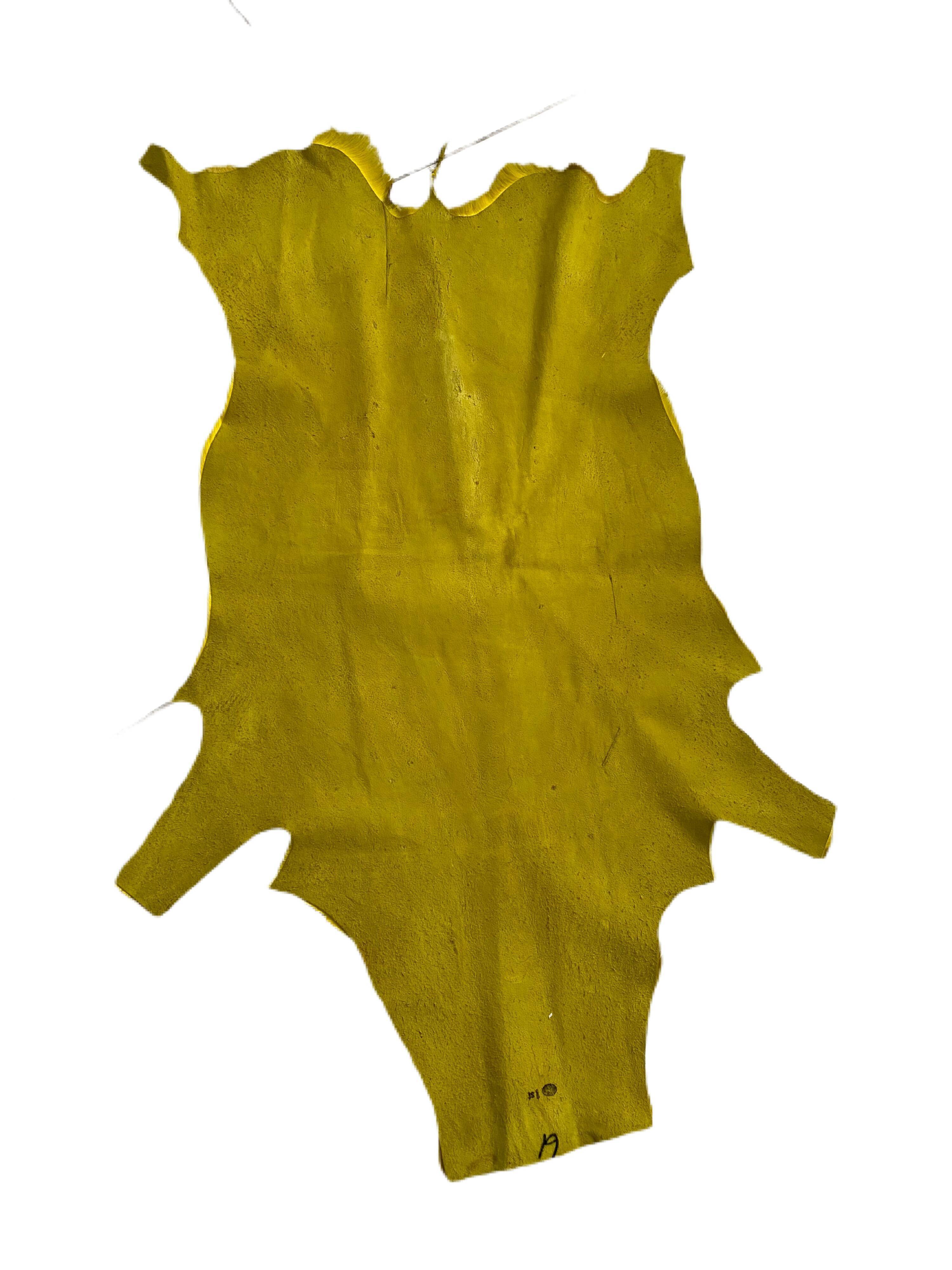 Pretty South African antelope skin bought at auction 66x100cm