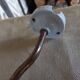 Wall lamp tulip gooseneck