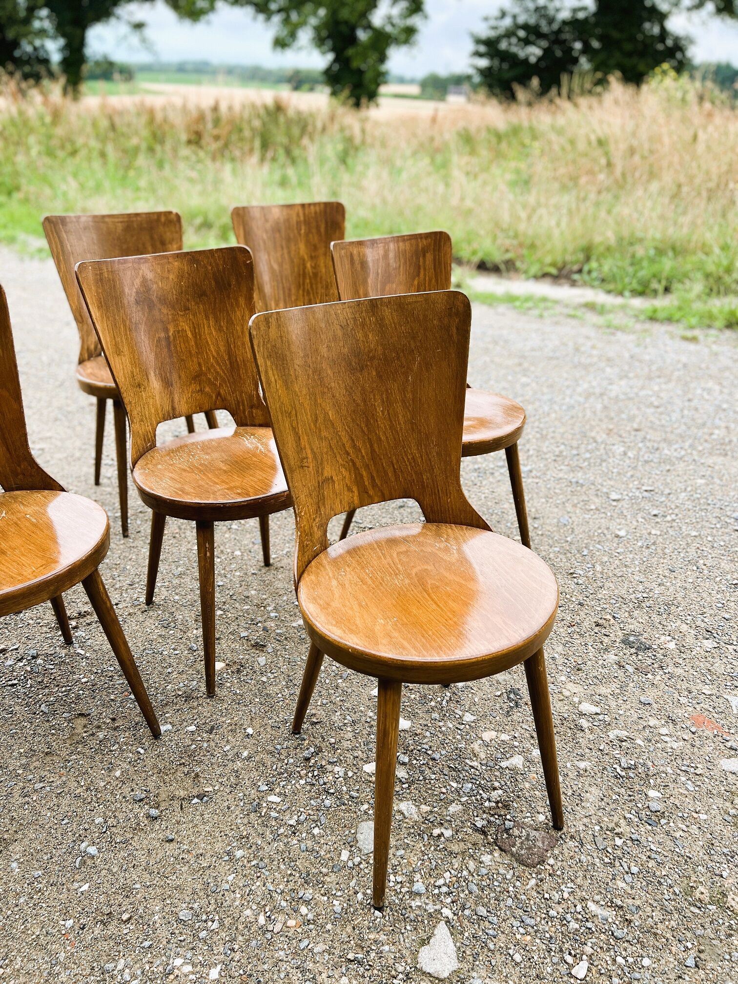 Set of 7 baumann bistro chairs model dove 50s
