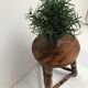 Tabouret en boispied tripode
