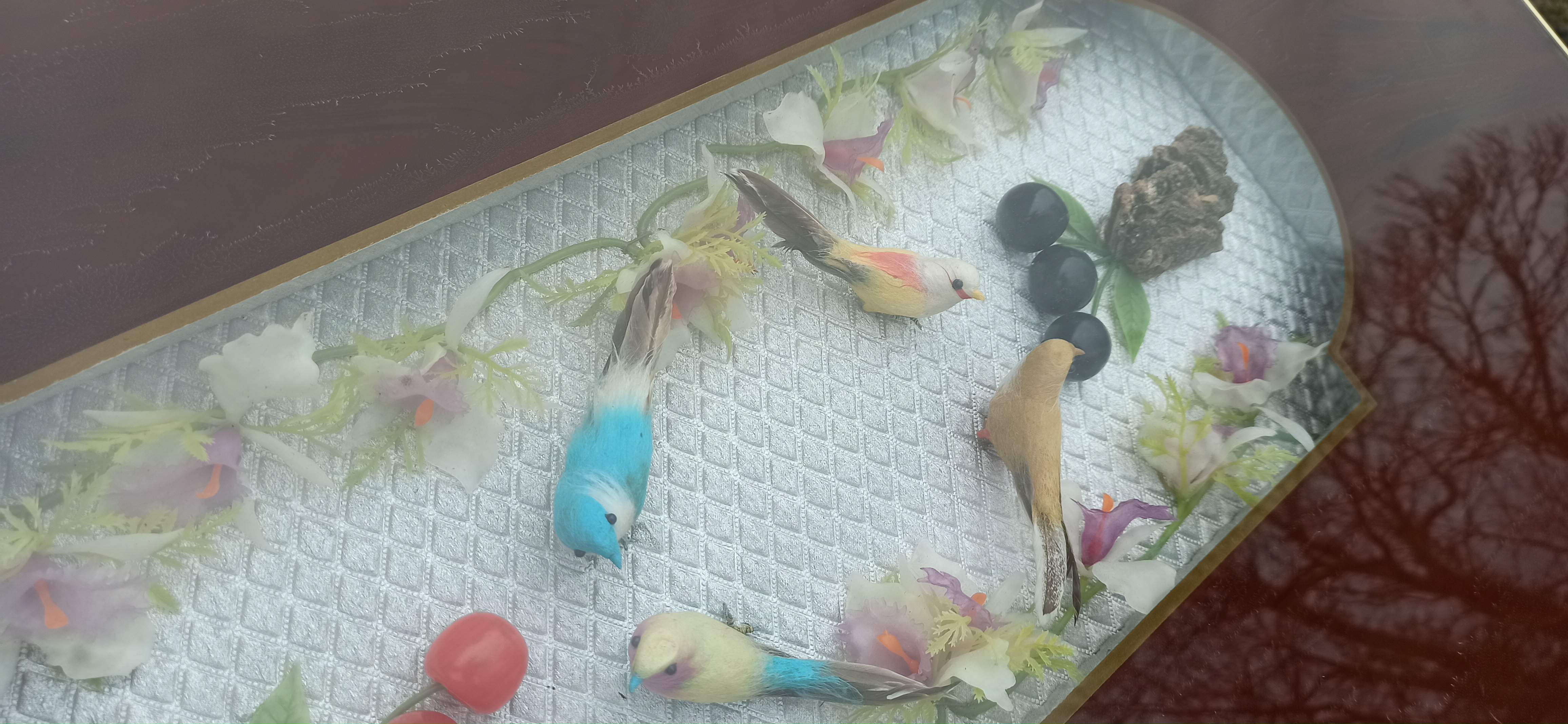 Coffee table of the 50s compass showcase bird and cherry