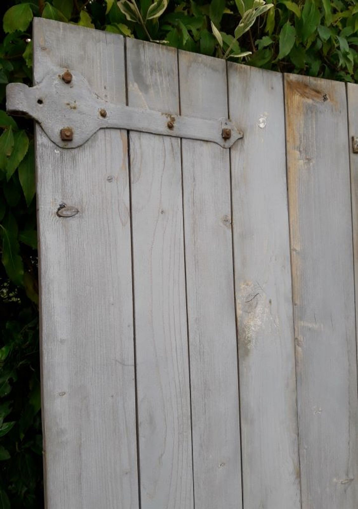 Pair of shutters fir hinges XVIII° old