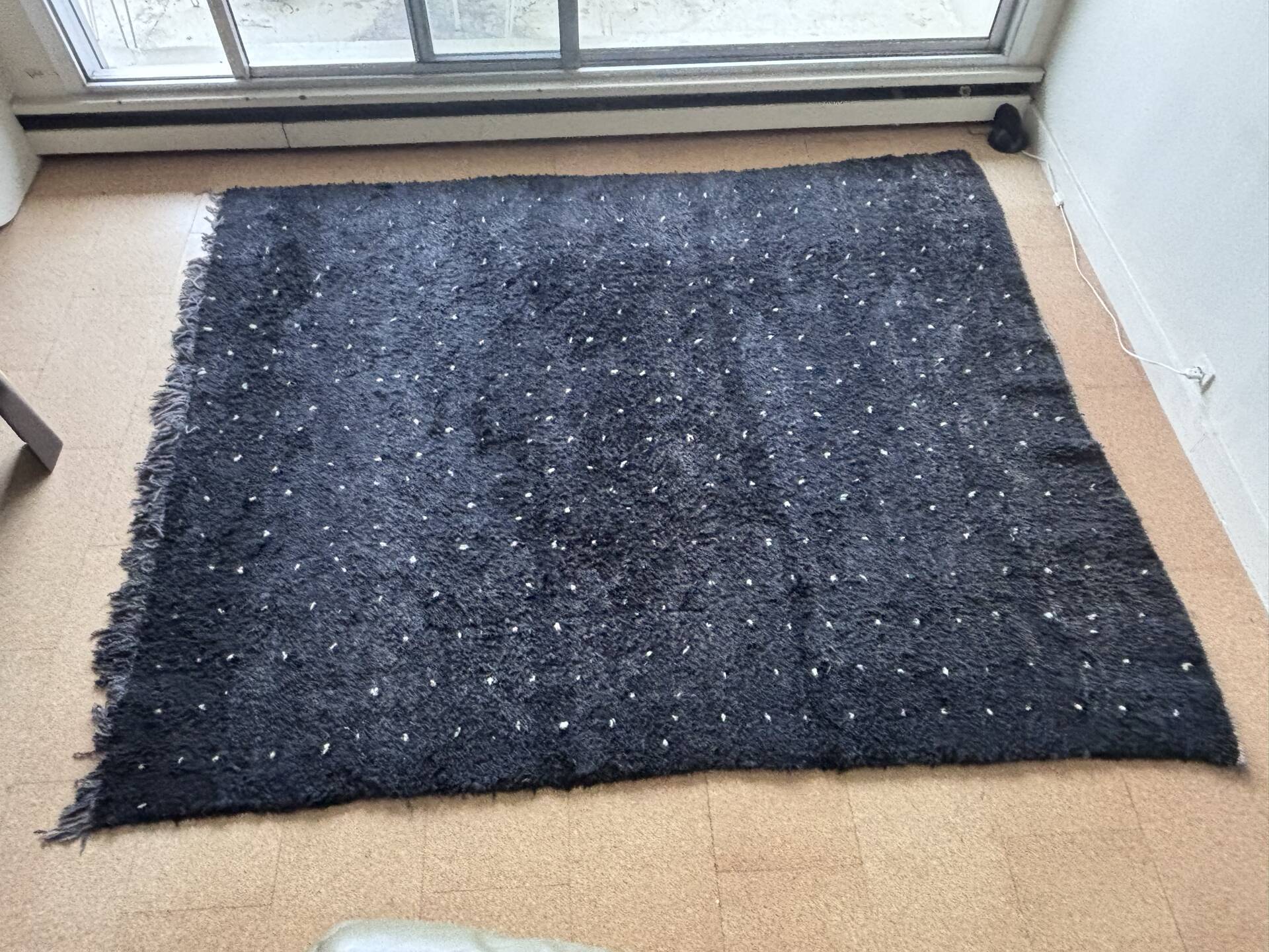Moroccan Berber rug Beni Ouarain black with white spots 254 x 205 cm