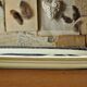 Oblong Serving Plate Dutch Royal Sphinx Maastricht Cambridge Old England 3590