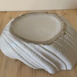 Shell vase