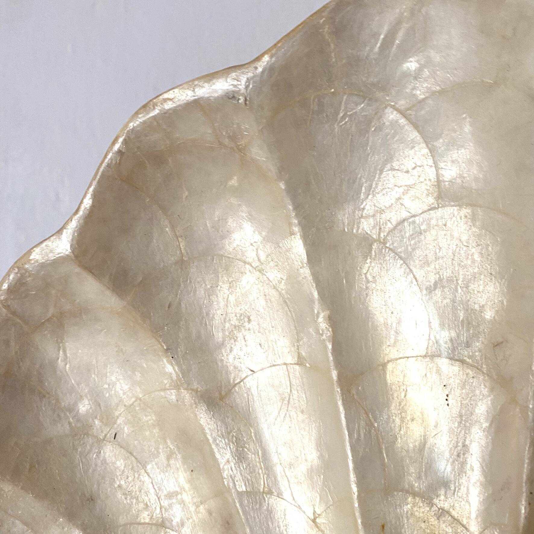 Vide poche vintage coquillage en nacre de Capiz