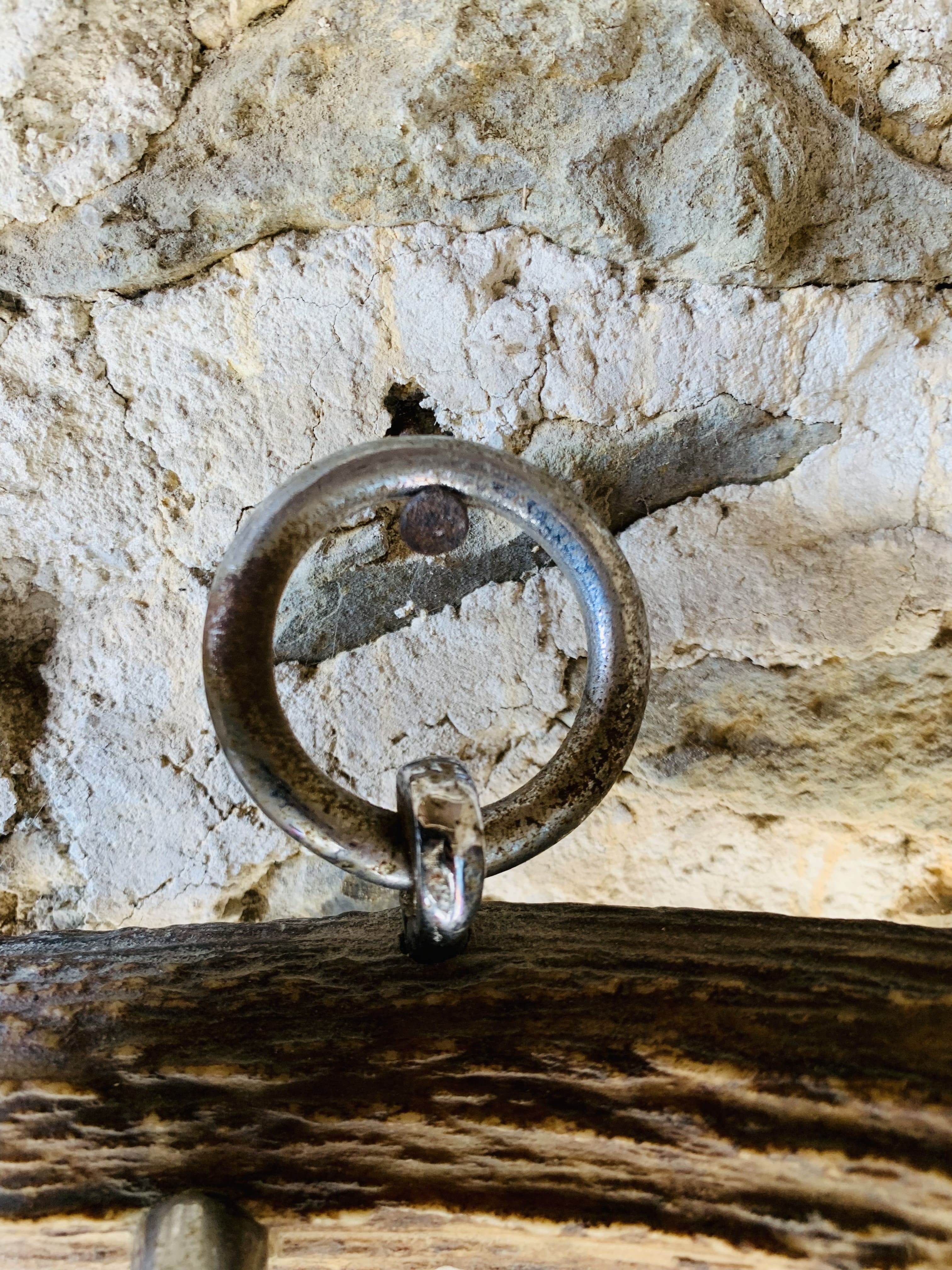 Deer antler coat rack 3 hooks