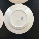 Set of 4 tulip-decorated plates