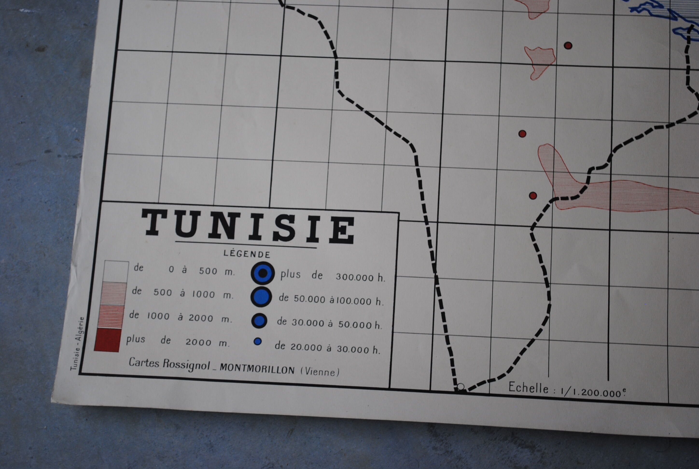 School Nightingale Algeria and Tunisia map