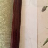 Set of 4 framed botanical posters