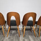 Dining Chairs by Antonin Suman, 1960s, Set of 4