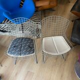 Chair Bertoia Rislan gray edition Knoll with white cake year 80