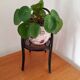 Doll chair