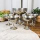 6 dessert cups in silver metal and assorted cut