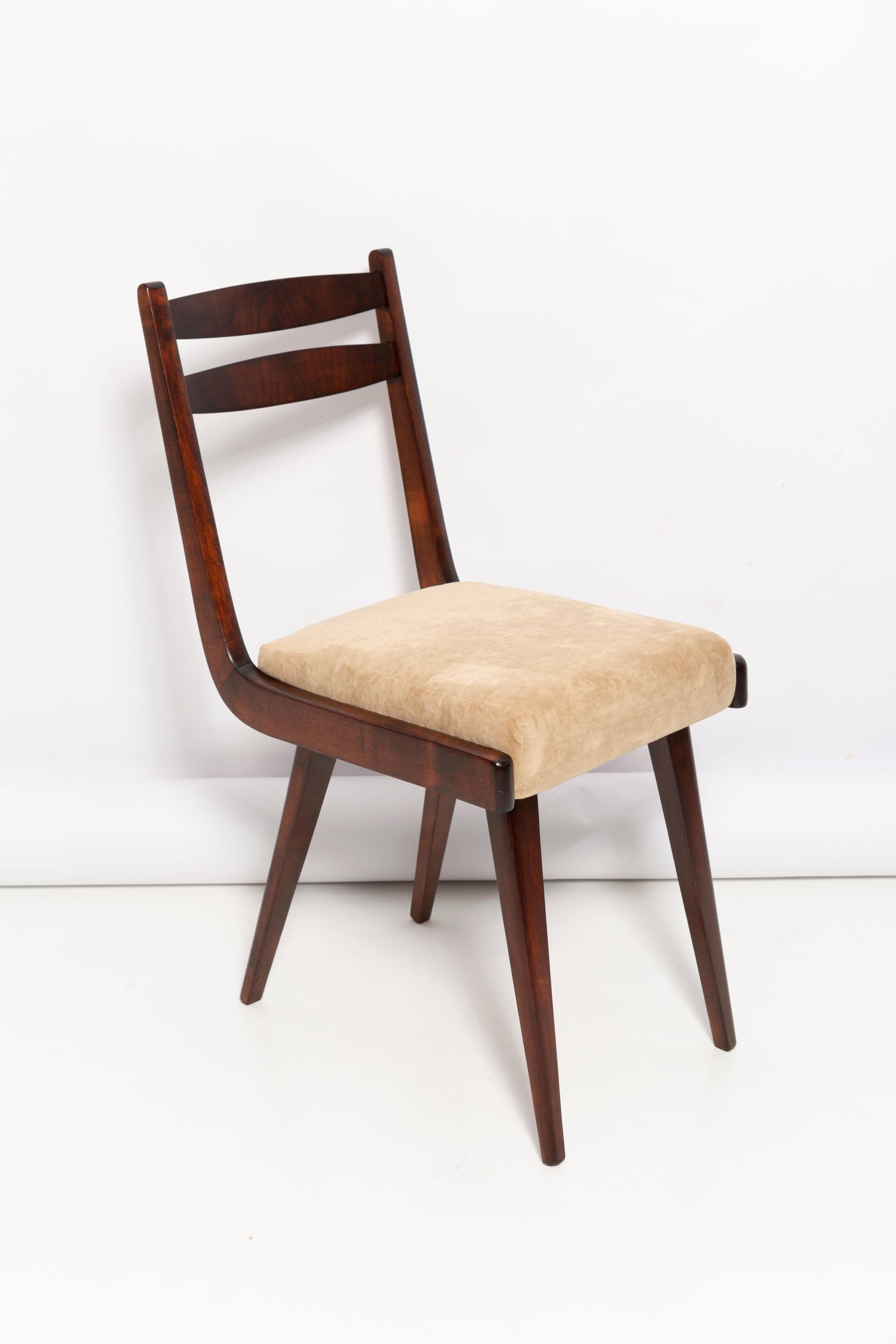 Chaise Mid Century Gazelle II en Velours Beige et Bois de Hêtre, Europe, 1960s